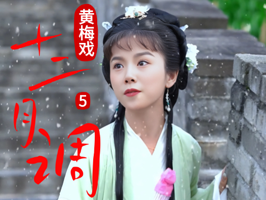 谢慧慧黄梅戏《十二月调》5
