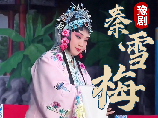 豫剧闫派名剧秦雪梅之书馆 