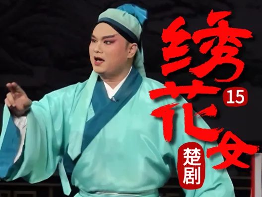 八年辛酸对一个女人来说意味着什么?《绣花女》连载十五