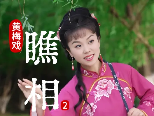谢慧慧黄梅戏《瞧相》2