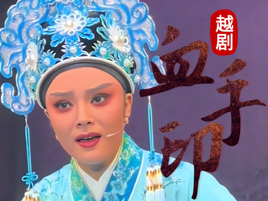 越剧《血手印》选段·凭空怎来双金衩