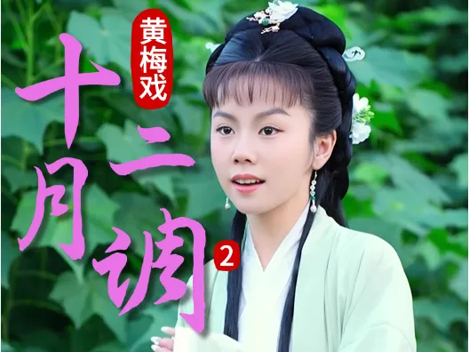谢慧慧黄梅戏《十二月调》2