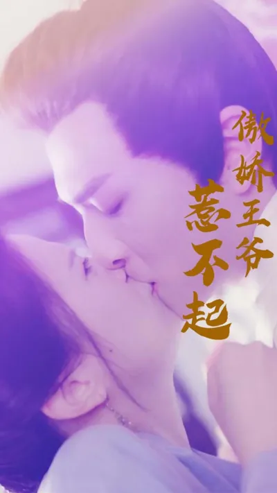 傲娇王爷惹不起