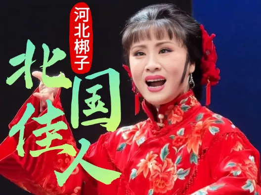 王洪玲 河北梆子《北国佳人》“看到他无奈何英雄气短” 选段